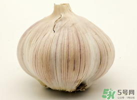 薺菜和大蒜能一起吃嗎？薺菜和蒜頭能一起吃嗎？