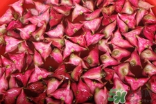 3月份的菱角可以吃嗎？菱角什么時候吃最好？