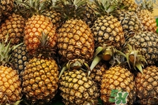 菠蘿是低糖水果嗎？菠蘿含糖量高嗎？