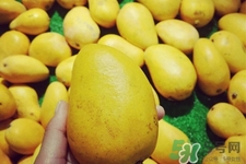 芒果是低糖水果嗎？芒果是低糖還是高糖？