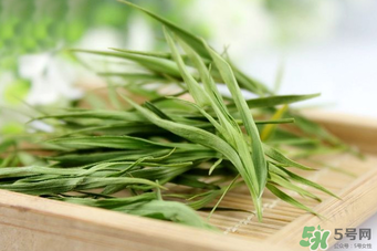 淡竹葉的功效與作用 淡竹葉有什么功效？