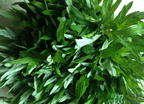 清明草是艾草嗎？清明菜是什么草？