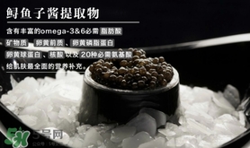 至本是什么牌子？至本什么檔次？