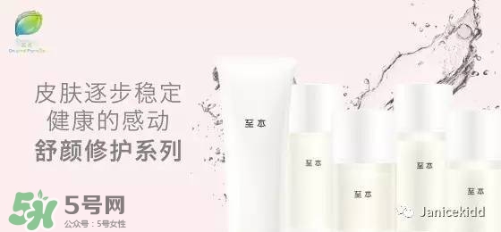 至本是什么牌子？至本什么檔次？