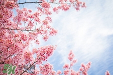 倒春寒吃什么食物？倒春寒吃什么御寒？