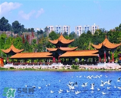 4月份去昆明穿什么？四月份去昆明穿什么衣服？