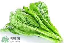 春菜為什么會(huì)苦？春菜發(fā)苦能吃嗎？