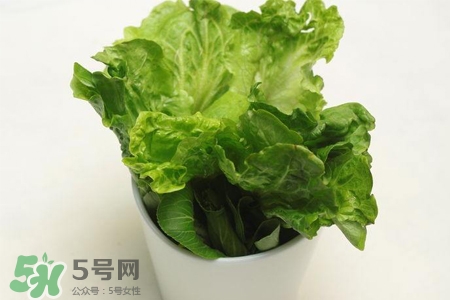 春菜為什么會(huì)苦？春菜發(fā)苦能吃嗎？