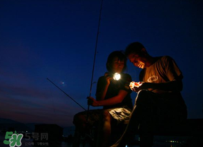 春分能夜釣嗎？春分能釣鯉魚嗎？