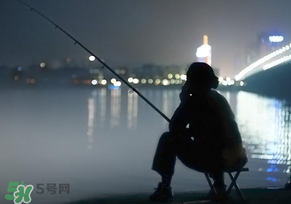 春分能夜釣嗎？春分能釣鯉魚嗎？