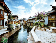 4月份去麗江穿什么？四月份去麗江穿什么衣服？