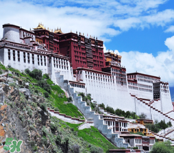 4月份去拉薩穿什么？四月份去拉薩穿什么衣服？