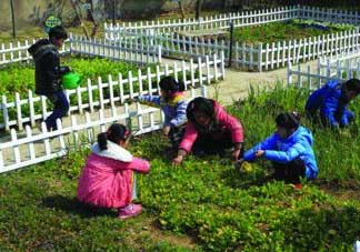 清明節(jié)種什么菜？清明節(jié)前后種什么菜？