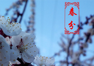 春菜為什么會(huì)苦？春菜發(fā)苦能吃嗎？