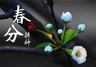 春分吃春菜有什么好處？春菜有什么營養(yǎng)價(jià)值？