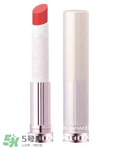 粉色口紅哪個牌子好？粉色口紅推薦