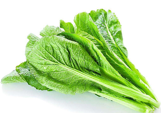 春菜的營養(yǎng)價(jià)值 春菜的功效與作用