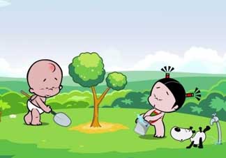 清明節(jié)種什么樹？清明節(jié)為什么種樹？