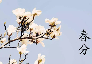 春分吃什么傳統(tǒng)食物？南方人春分節(jié)氣吃什么？