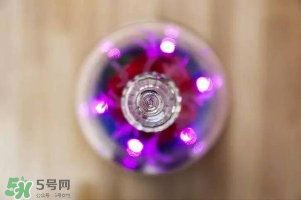 camino美女與野獸音響多少錢？camino玫瑰藍牙音箱價格