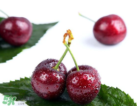 櫻桃怎么保存才新鮮？櫻桃怎么保存時(shí)間長？