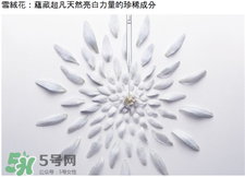 dior迪奧雪晶靈精華水好用嗎?迪奧雪精靈精華液怎么樣? dior迪奧雪晶靈精華水好用嗎?迪奧雪精靈精華液怎么樣?