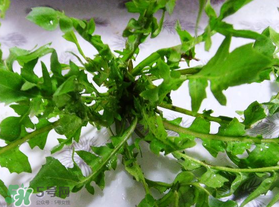 春天吃薺菜好嗎？春天吃薺菜有什么好處？
