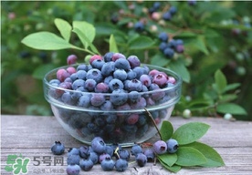 藍(lán)莓一天吃多少為宜？藍(lán)莓每天吃多少合適？