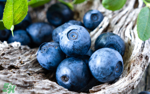 藍(lán)莓變軟了還能吃嗎？藍(lán)莓發(fā)軟了還能吃嗎？