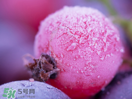 藍莓變紅可以吃嗎？藍莓發(fā)紅是壞掉了嘛？