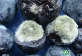 藍(lán)莓發(fā)霉還能吃嗎？藍(lán)莓發(fā)霉怎么辦？