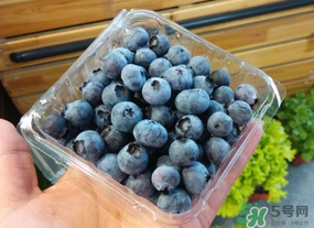盒裝藍(lán)莓要洗嗎？盒裝藍(lán)莓怎么洗？