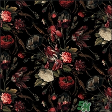 Givenchy紀(jì)梵希是哪個國家的牌子?紀(jì)梵希是幾線品牌? Givenchy紀(jì)梵希是哪個國家的牌子?紀(jì)梵希是幾線品牌?