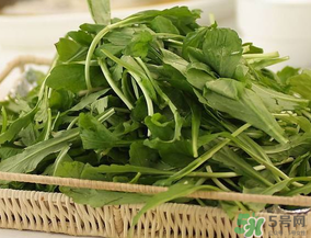 薺菜有毒嗎？吃薺菜會中毒嗎？