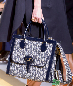 迪奧2017春夏走秀款包包 dior2017春夏系列新品包包推薦 迪奧2017春夏走秀款包包 dior2017春夏系列新品包包推薦