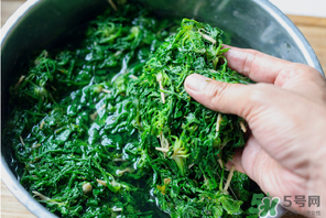 薺菜有草酸嗎？薺菜草酸高嗎？