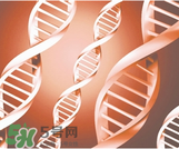 女人下面黑好不好？女人下面黑怎么變淺