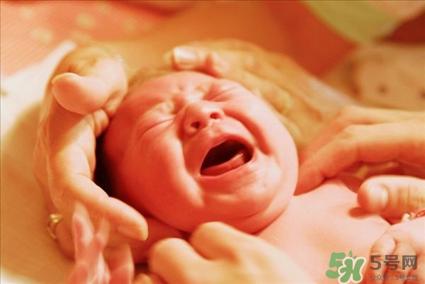 新生兒黃疸高怎么辦 嬰兒黃疸高怎么辦 新生兒黃疸高怎么辦 嬰兒黃疸高怎么辦