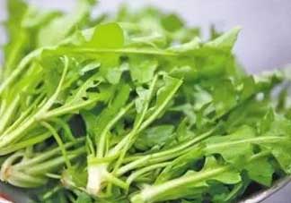 便秘能吃薺菜嗎？便秘可以吃薺菜嗎？