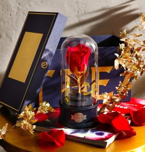 野獸派美女與野獸水晶球多少錢？野獸派音樂水晶球價(jià)格