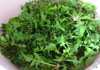 薺菜和醋能一起吃嗎？醋拌薺菜能吃嗎？