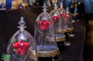 camino美女與野獸音響多少錢？camino玫瑰藍牙音箱價格