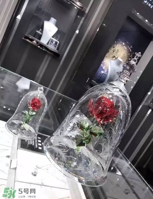 施華洛世奇美女與野獸有哪些？施華洛世奇美女與野獸哪里買