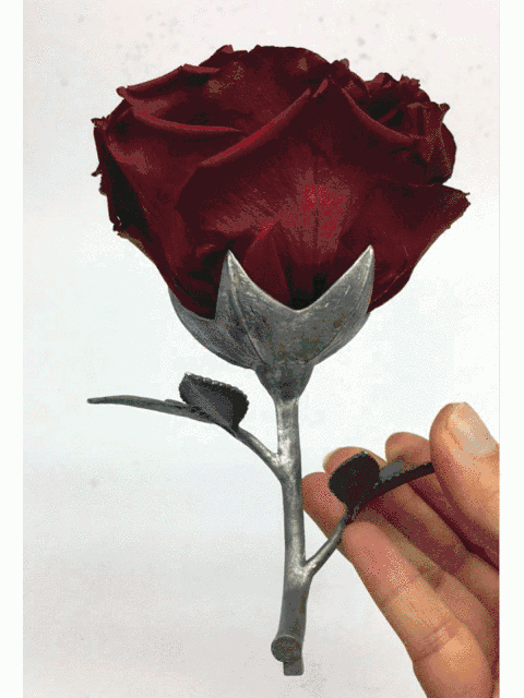 野獸派美女與野獸水晶球多少錢？野獸派音樂水晶球價(jià)格