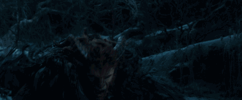 野獸派美女與野獸水晶球多少錢？野獸派音樂水晶球價(jià)格