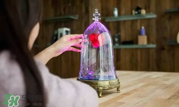 camino美女與野獸音響多少錢？camino玫瑰藍牙音箱價格