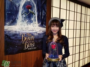 camino美女與野獸音響多少錢？camino玫瑰藍牙音箱價格