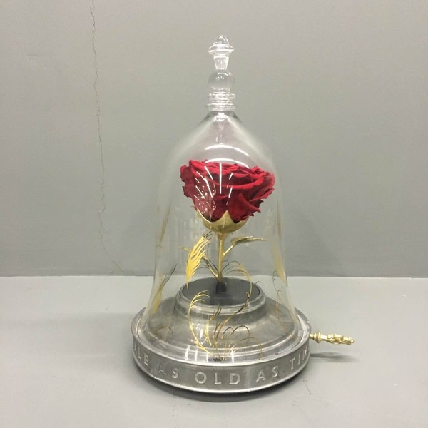 野獸派美女與野獸水晶球多少錢？野獸派音樂水晶球價(jià)格