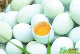 薺菜和鴨蛋能一起吃嗎？薺菜可以煮鴨蛋嗎？