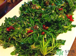 野生薺菜孕婦能吃嗎？野薺菜孕婦可以吃嗎？